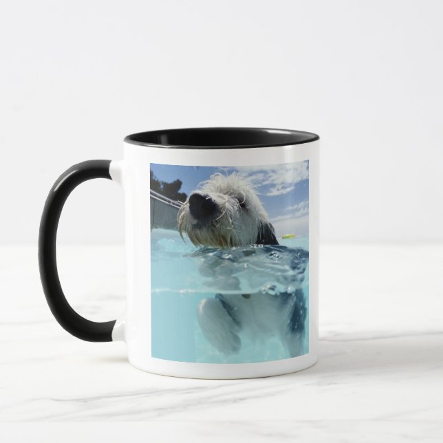 Hundeschwimmen in einem Swimmingpool Tasse (Links)