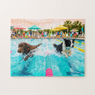 Hundeschwimmen Rennen Puzzle