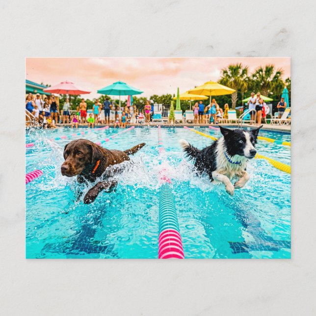 Hundeschwimmwettbewerb Postkarte (Vorderseite)