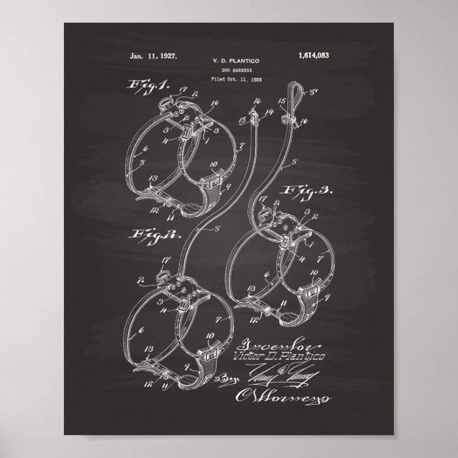 Hundesharness 1927 Patentenkabine Poster (Vorne)
