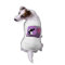 Hundeshirt