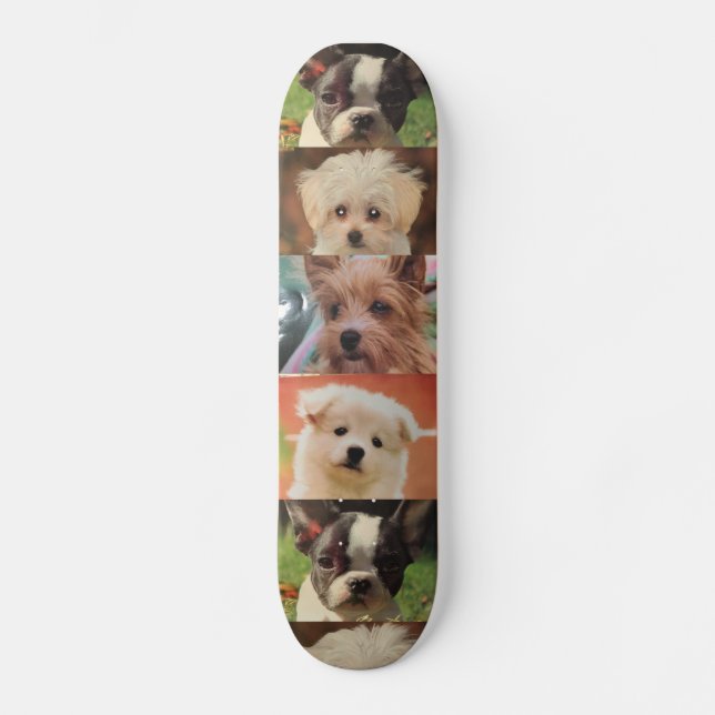 HundeSkateboard Skateboard (Vorderseite)