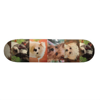 HundeSkateboard Skateboard