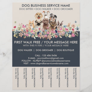 Hundespazierdienst Ivory Navy Flyer