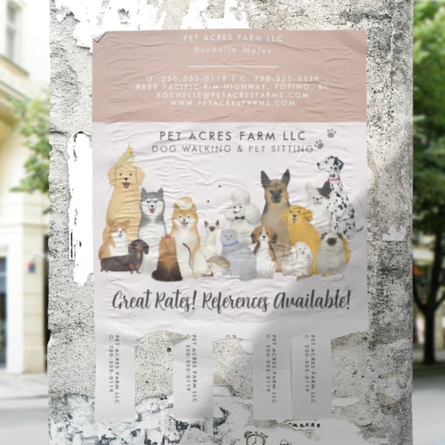 Hundesport Promenaden-Service Wasserfarben-Geschäf Flyer (Von Creator hochgeladen)