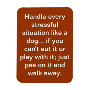 HundeSprichwort Magnet