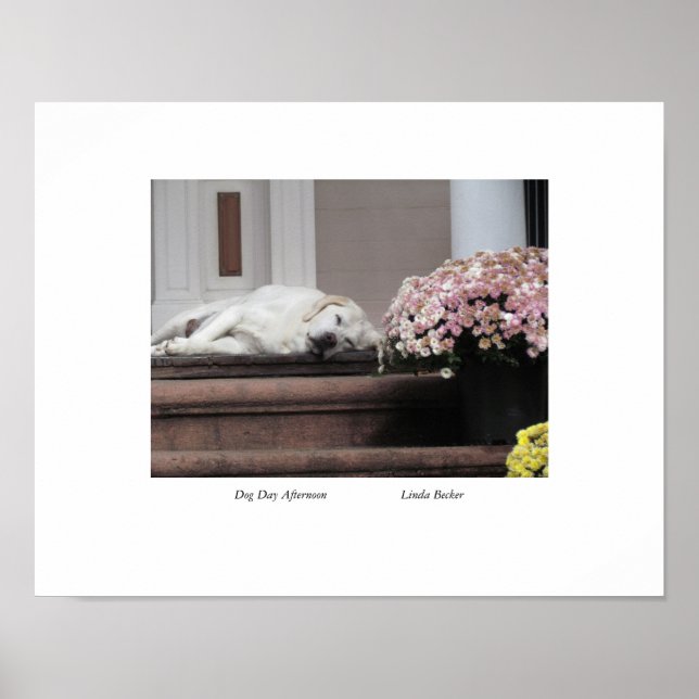 Hundetag Nachmittag von Linda Becker Poster (Vorne)