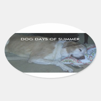 Hundetage in den Farben sommerweiß und beige Labra Ovaler Aufkleber