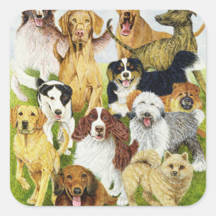 Hundetage Quadratischer Aufkleber
