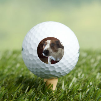 HundeTamplate Golfball