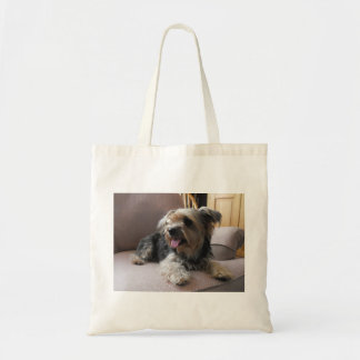 Hundetasche Tragetasche