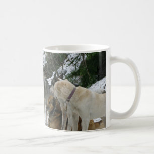 HundeTasse Kaffeetasse