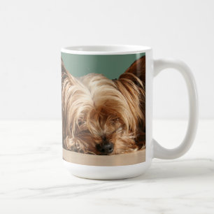 HundeTasse SchlafensYorkie Tasse