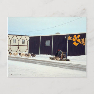 Hundeteam in der Bucht, Churchill, Manitoba Postkarte