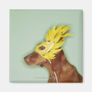 Hundetragende Maske Magnet