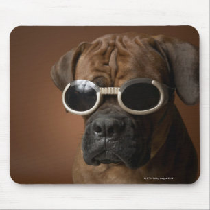 Hundetragende Sonnenbrille Mousepad
