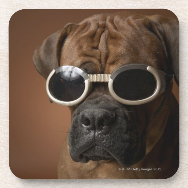 Hundetragende Sonnenbrille Untersetzer (Vorderseite)