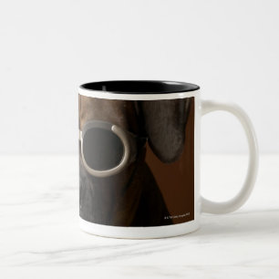 Hundetragende Sonnenbrille Zweifarbige Tasse