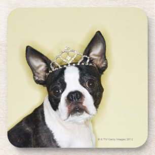 Hundetragende Tiara Untersetzer