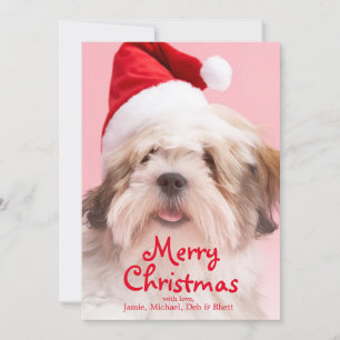 Hundetragende Weihnachtsmannmütze Lhasas Apso Feiertagskarte