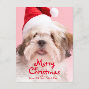 Hundetragende Weihnachtsmannmütze Lhasas Apso Feiertagspostkarte