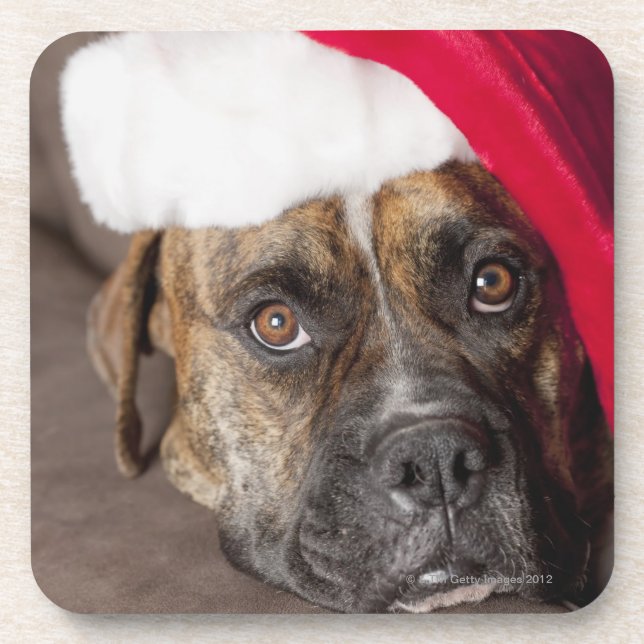 Hundetragende Weihnachtsmannmütze Untersetzer (Vorderseite)
