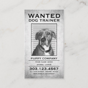 Hundetrainer wollte Plakat Visitenkarte