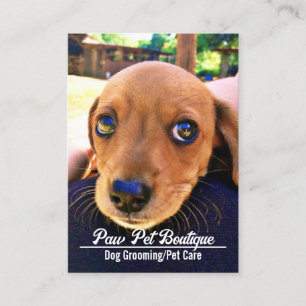 Hundetrimmer Haustierpflege Welpenausführer Visitenkarte