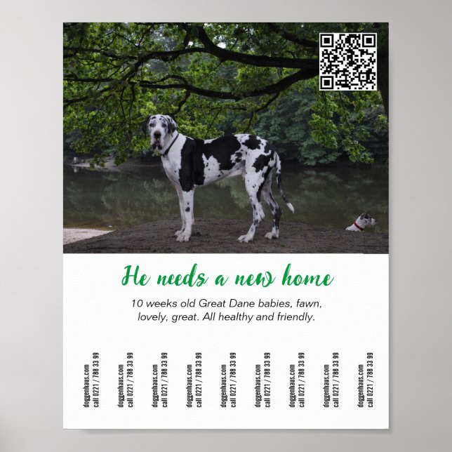 Hundeverkaufsplakat Vorlage  Poster (Vorne)