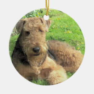 Hundeverzierung Airedales Terrier Keramikornament