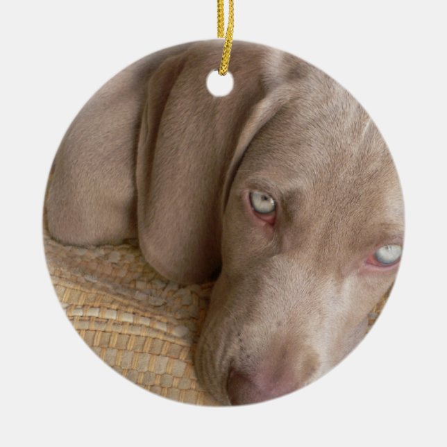 Hundeverzierung SchlafensWeimeraner Keramikornament (Vorne)