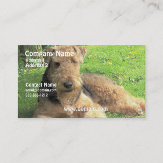 HundeVisitenkarte Airedales Terrier Visitenkarte