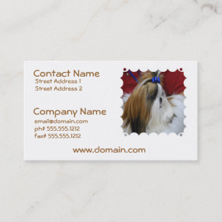 HundeVisitenkarten Shih Tzu Visitenkarte