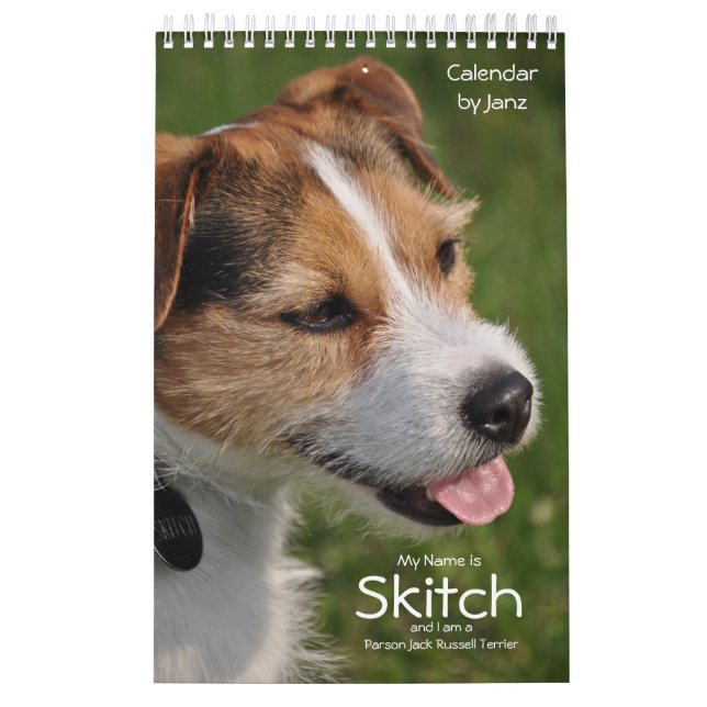 Hundewandkalender Pastor-Russells Terrier durch Kalender (Titelbild)