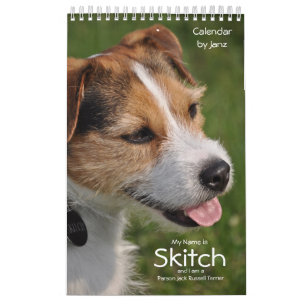 Hundewandkalender Pastor-Russells Terrier durch Kalender