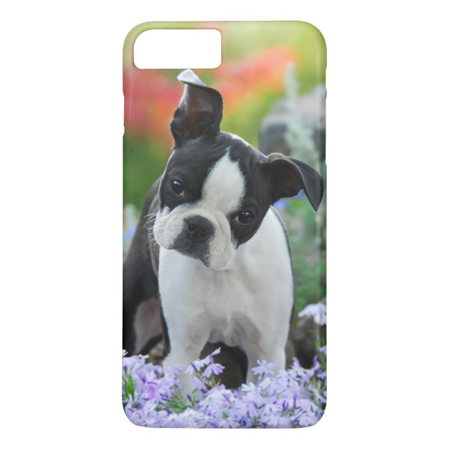 Hundewelpe Bostons Terrier Case-Mate iPhone Hülle (Rückseite)