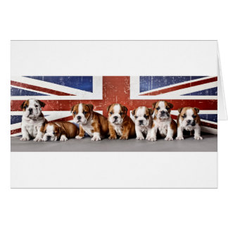 Hundewelpen