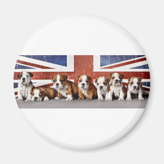Hundewelpen Magnet