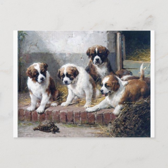 Hundewelpen St. Bernard niedliche Malhunde Postkarte (Vorderseite)