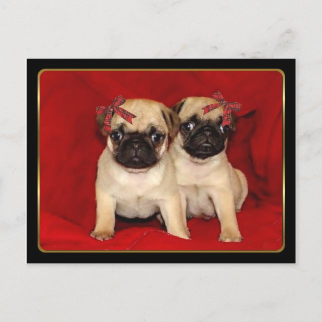 Hundewelpen zu Weihnachten Mops (Vorderseite)