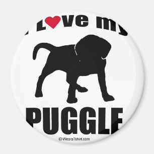"HUNDEzucht" - PUGGLE - "ICH LIEBE MEINE PUGGLE " Magnet