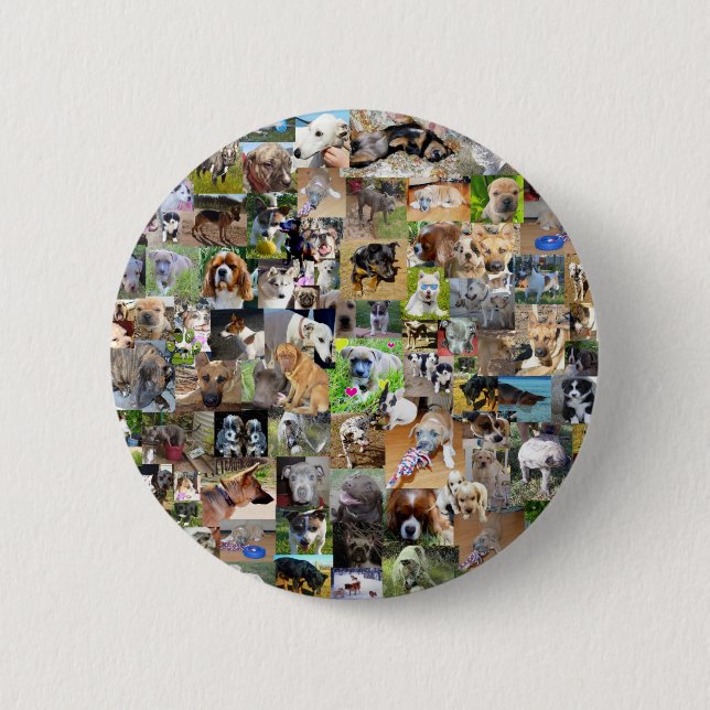 Hundfoto Collage, Button (Vorderseite)