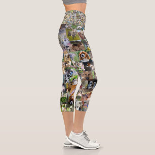 Hundfoto Collage, Capri Leggings