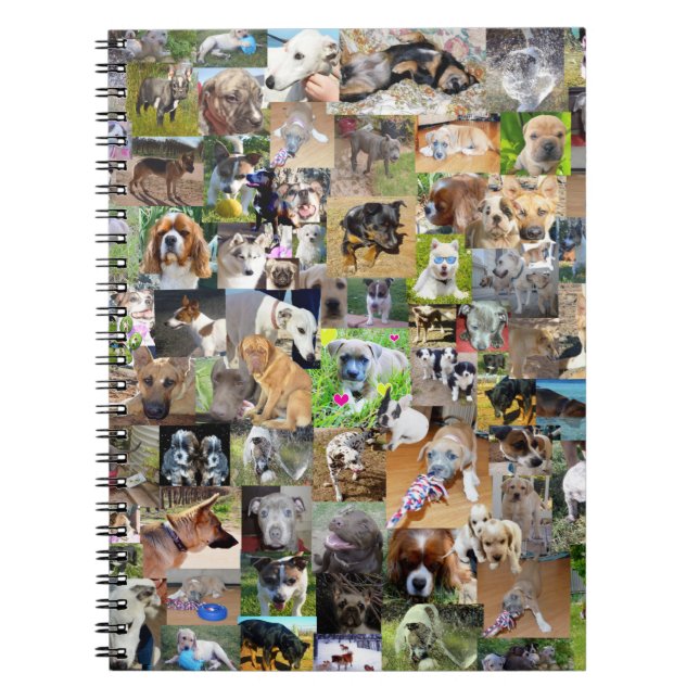 Hundfoto Collage, Notizblock (Vorderseite)