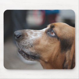 Hundmousepad Mousepad