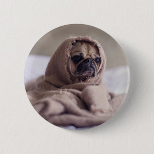 Hundshunde Button