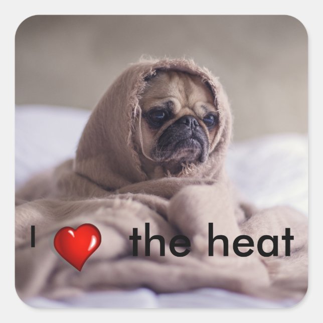 Hundshunde Quadratischer Aufkleber (Vorderseite)