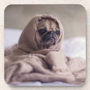 Hundshunde Untersetzer