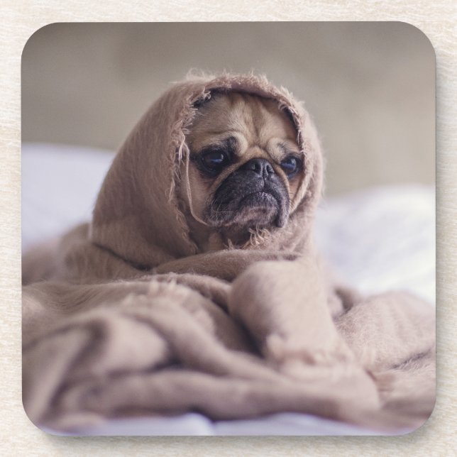 Hundshunde Untersetzer (Vorderseite)