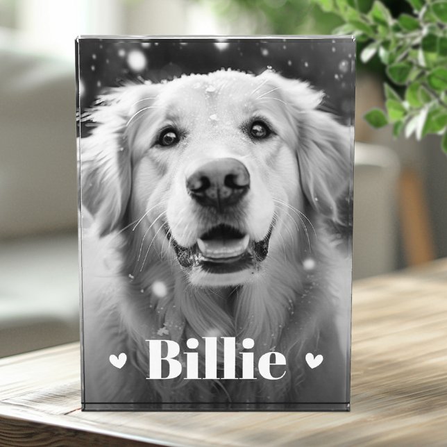 Hundshunzherzen Fotoblock (Pet dog cat name hearts photo block)